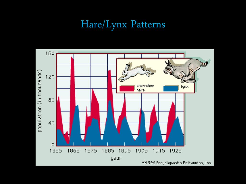 Interactions in Ecosystems - ppt download