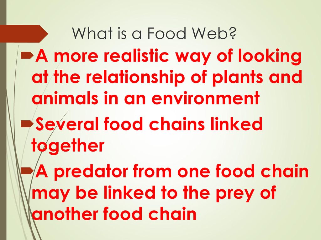 Food Chains and Food Webs Biology Diagrams