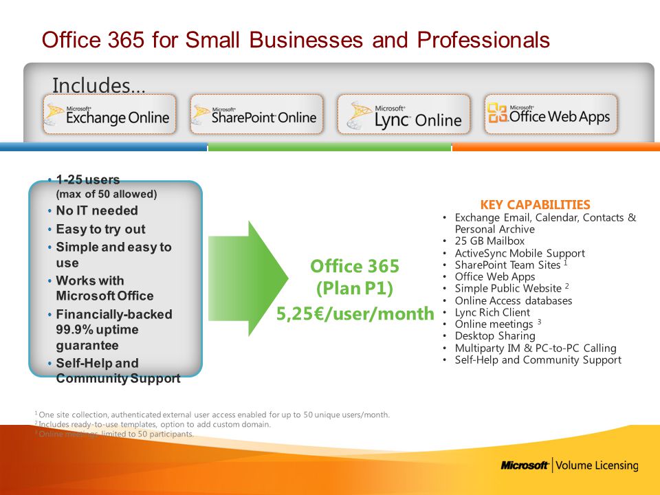 Office 365 for Small Businesses and Professionals