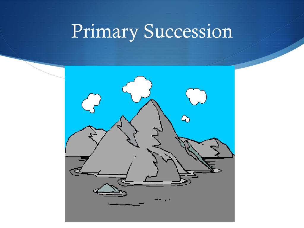 Primary Succession