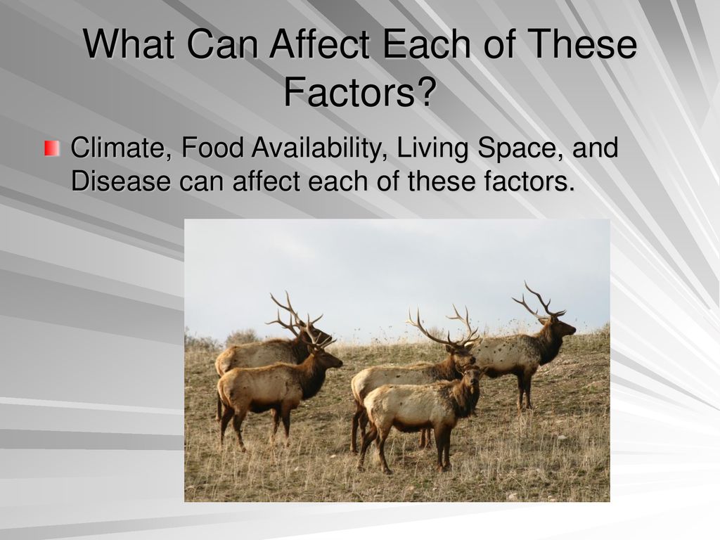 What Can Affect Each of These Factors