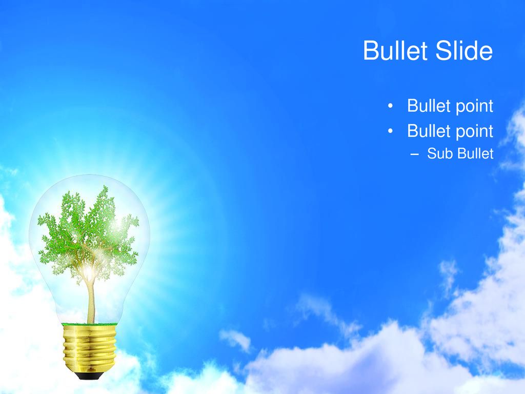 Bullet Slide Bullet point Sub Bullet