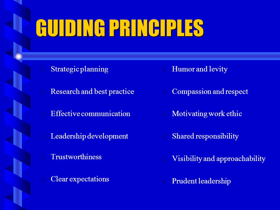 GUIDING PRINCIPLES Strategic planning Research and best practice