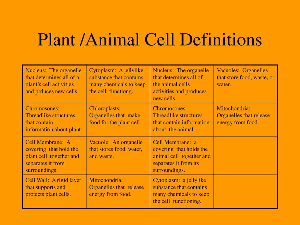 Science: Cells to Body Systems - ppt download