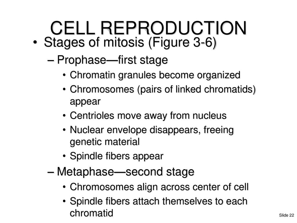 Chapter 3 Cells and Tissues ppt download