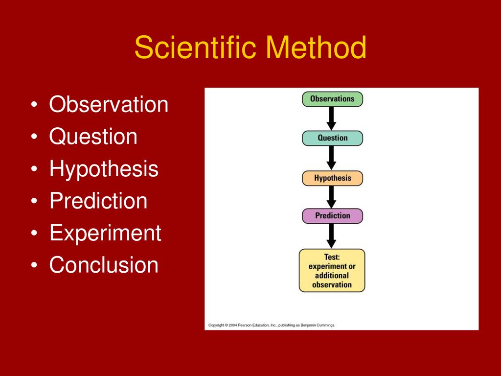 Introduction. - ppt download