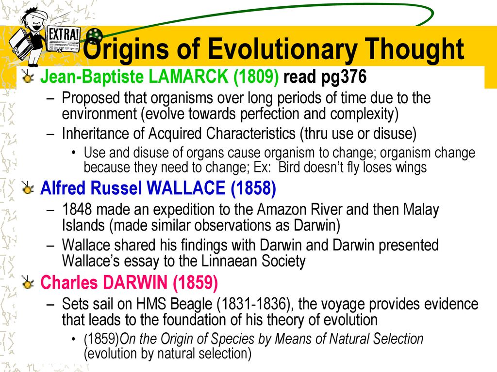 Honors biology b 5 biological evolution additional info ppt download