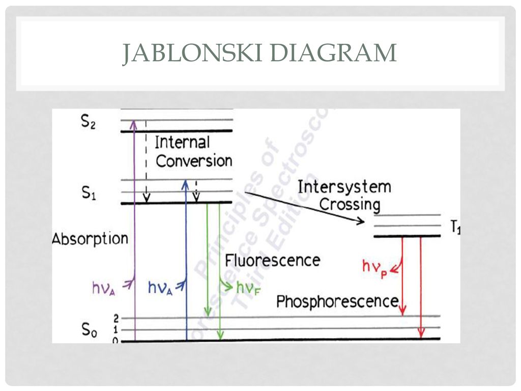 Illustration of Jablonski Diagram - ppt download