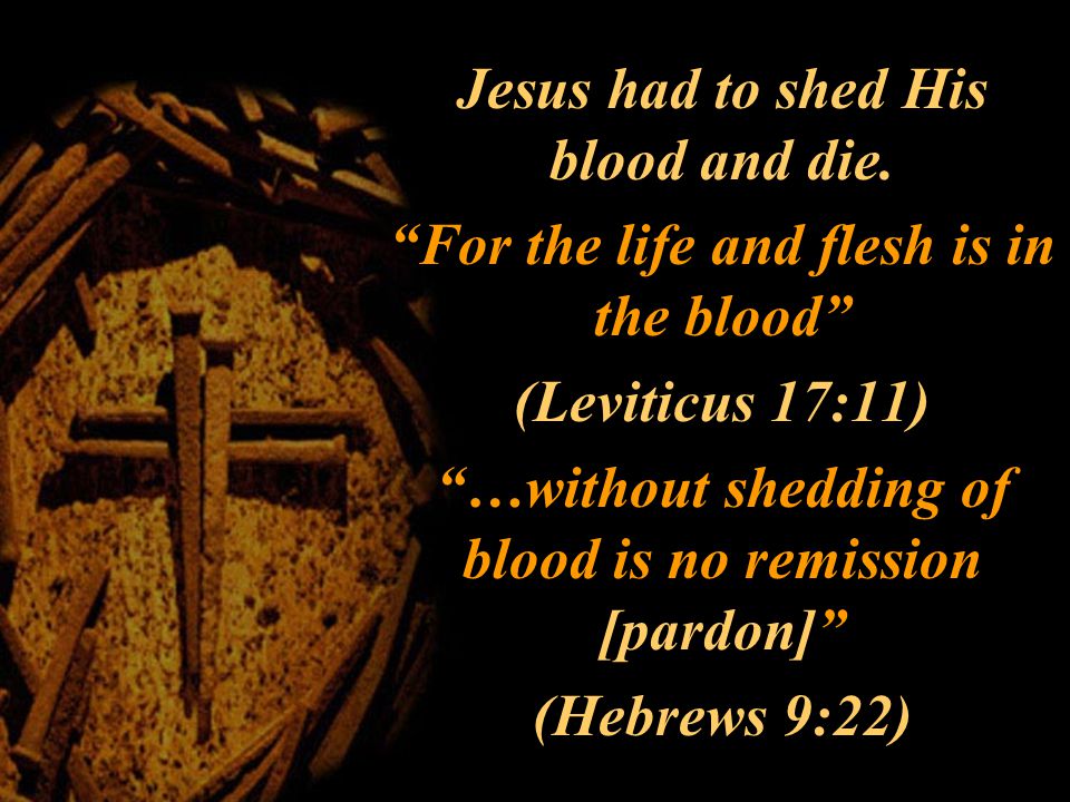 Jesus had to shed His blood and die.