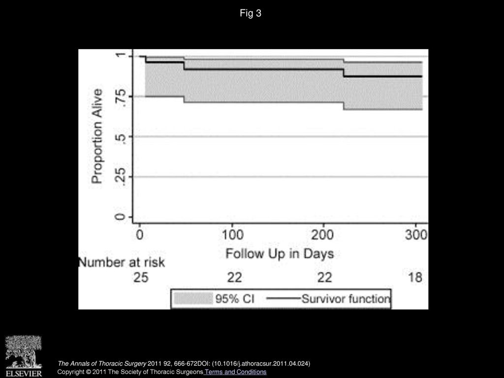 Fig 3 Kaplan-Meier cumulative survival. The 95% confidence interval (CI) is shown. The numbers of subjects at risk are below the horizontal axis.
