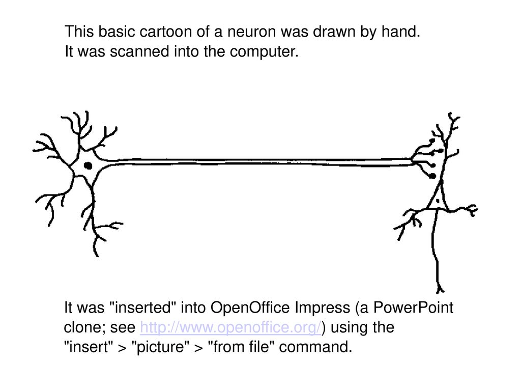 Simple Animation In Powerpoint By Gary Fisk Ppt Download Neuron 3d model available on turbo squid, the world's leading provider of digital 3d models for visualization, films, television, and games.