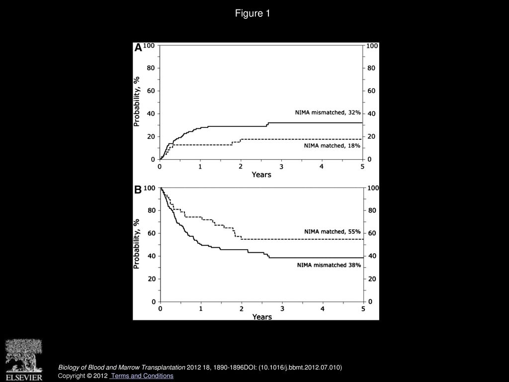 Effect of HLA-Matching Recipients to Donor Noninherited Maternal ...