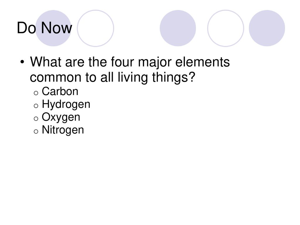 Biology I Chapter 14 History of Life. - ppt download