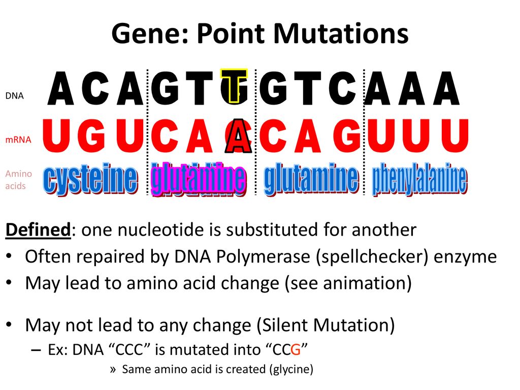 Mutations Ppt Download