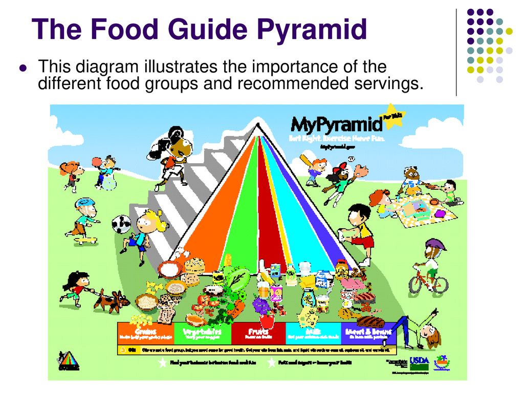 nutrition-lisa-michalek-ppt-download