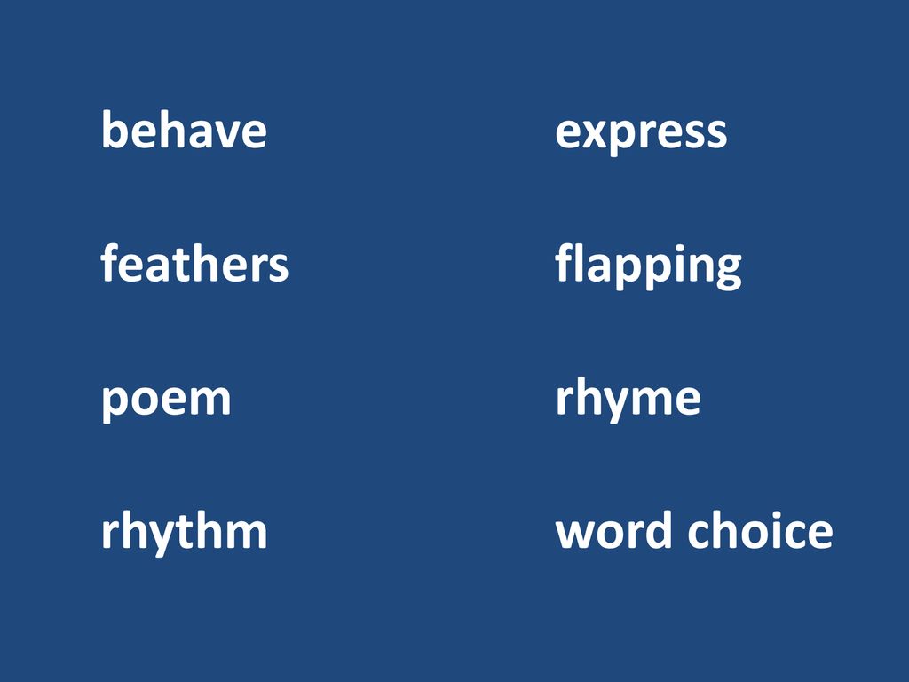 Animal Poems Unit 2 Week 5 ppt download