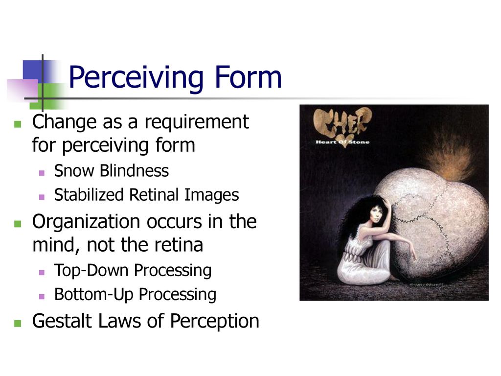 Perceiving Form Part I ppt download