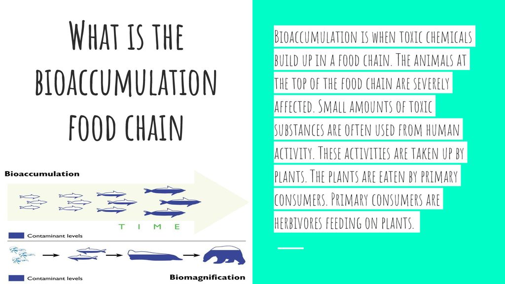Bioaccumulation In Aquatic Biology Diagrams