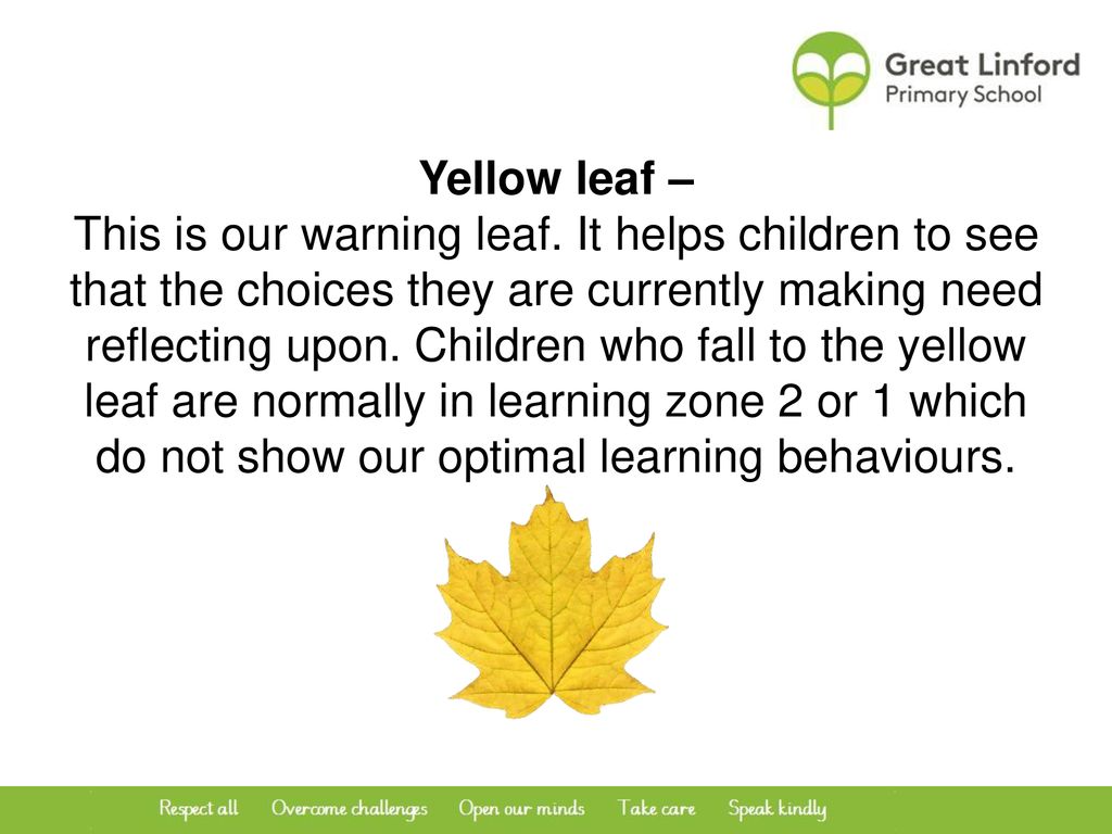 Yellow leaf – This is our warning leaf