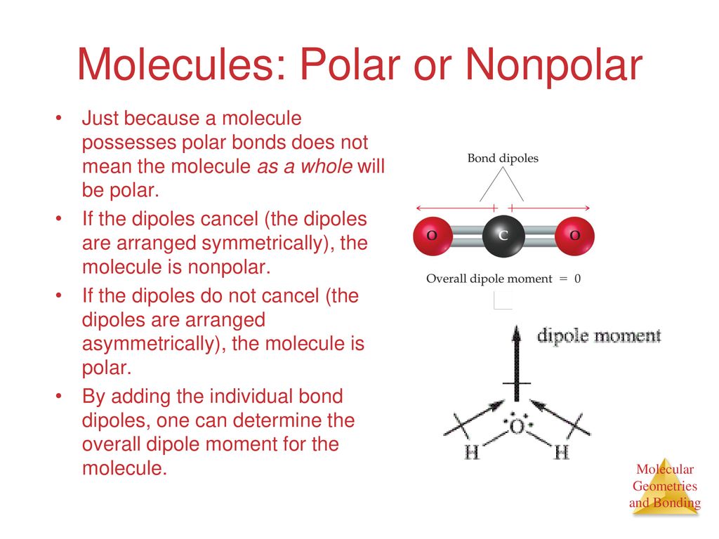 Nonpolar Covalent Bonds - ppt download