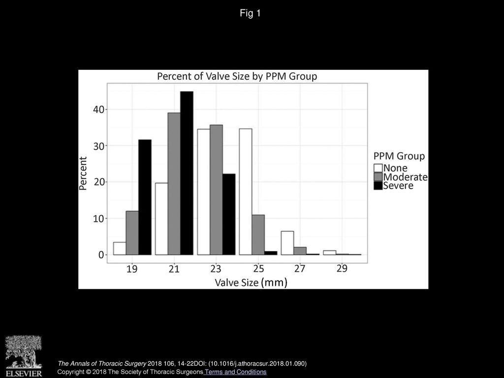 Fig 1 Distribution of degree of prosthesis-patient mismatch (PPM) by valve size.