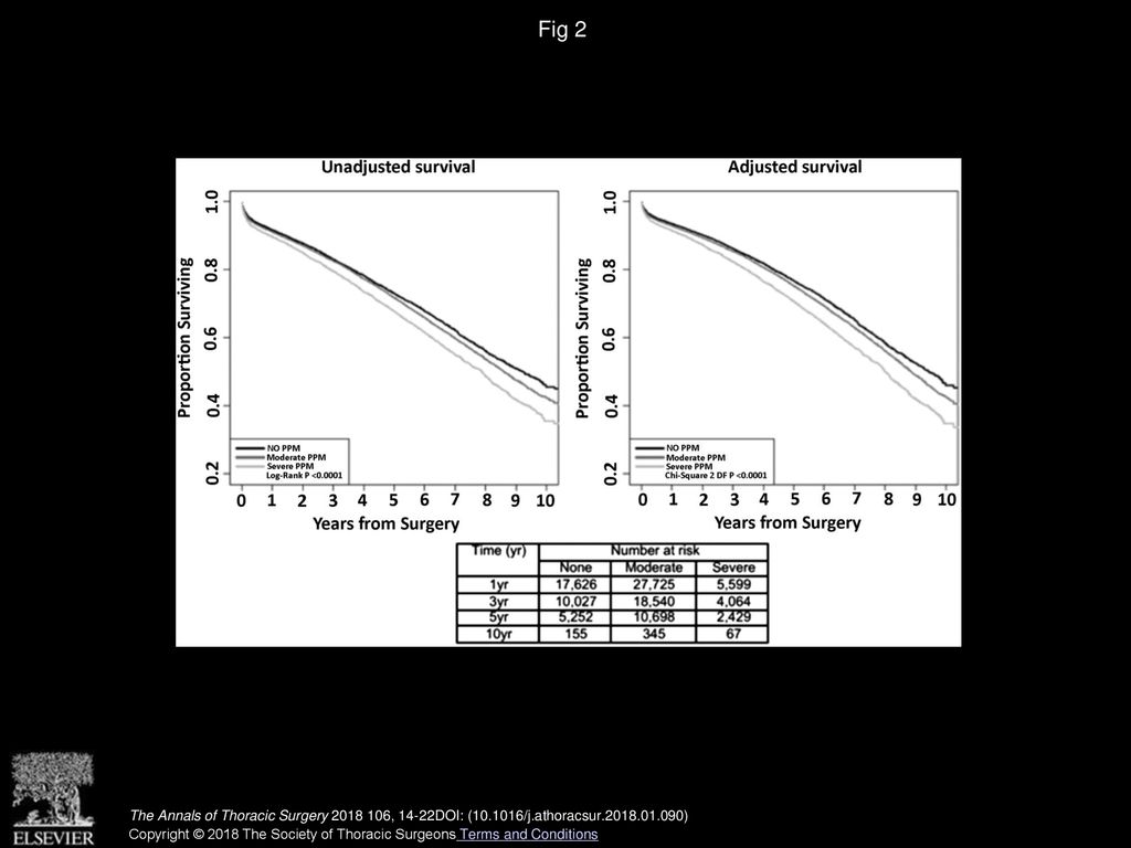 Fig 2 Unadjusted and adjusted survival by degree of prosthesis-patient mismatch (PPM).