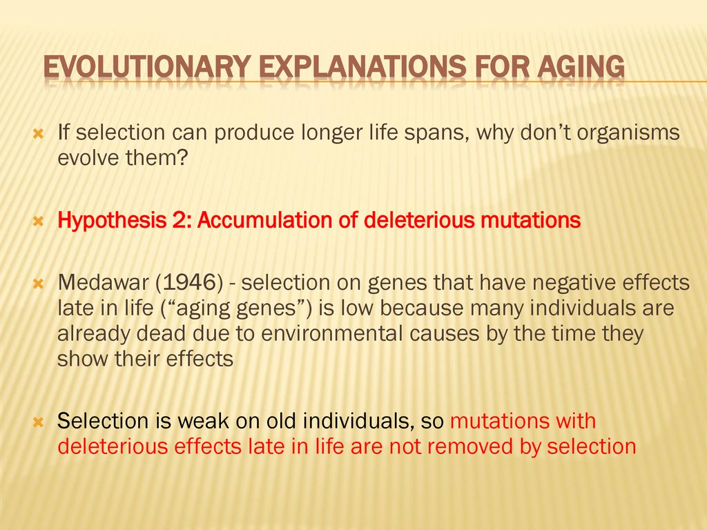 Evolutionary Explanations for Aging