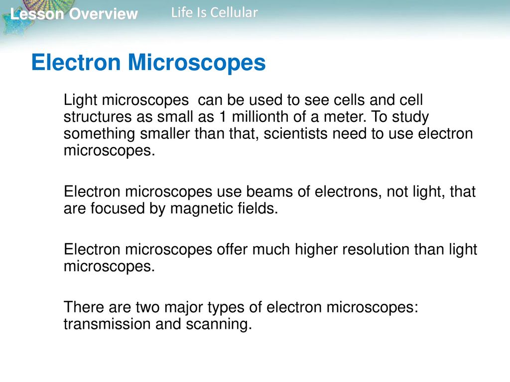 How has the idea of cells changed over time - ppt download