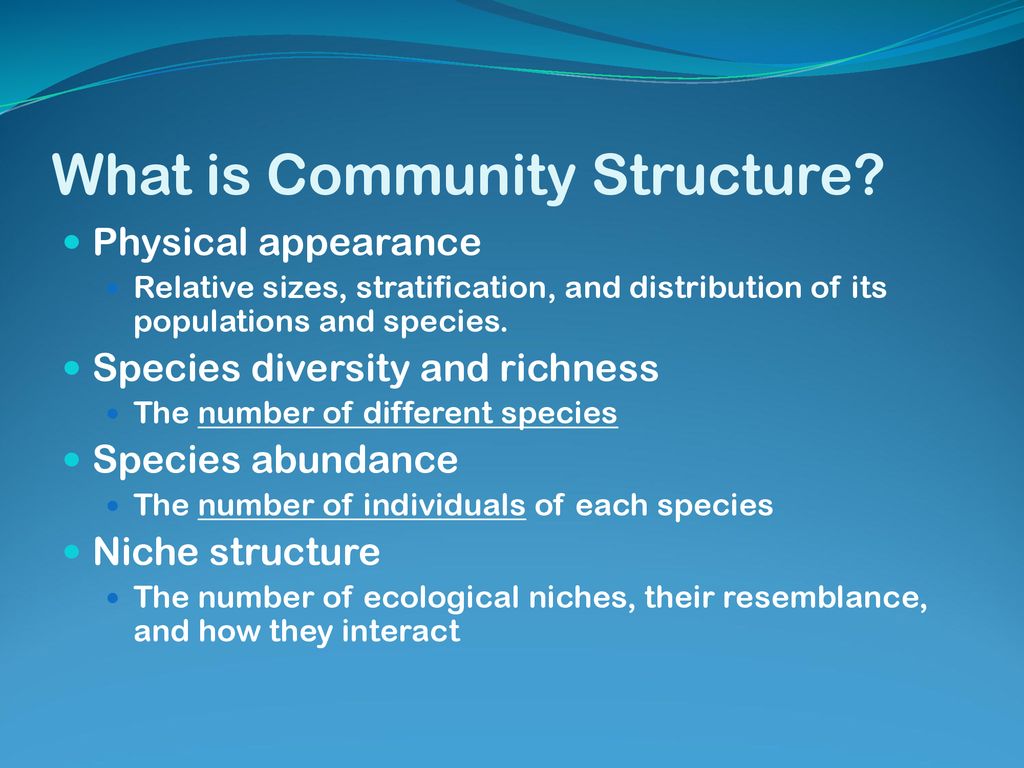 What is Community Structure