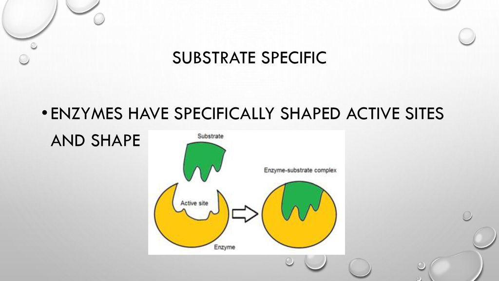 Enzymes. ppt download