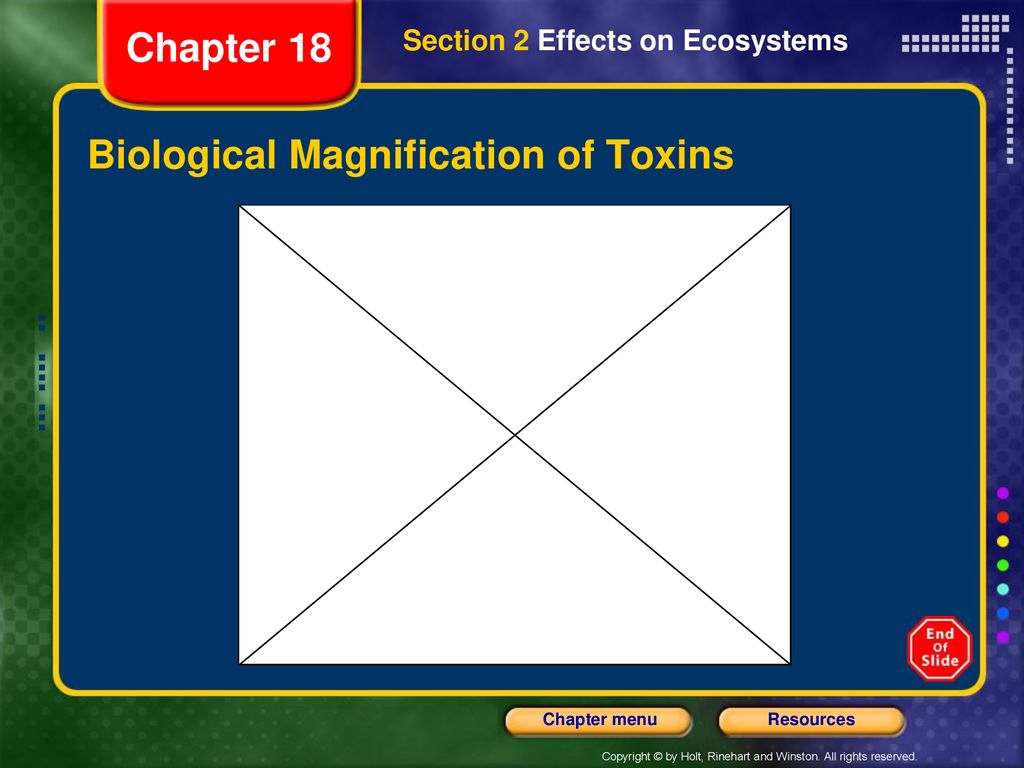 Biological Magnification of Toxins