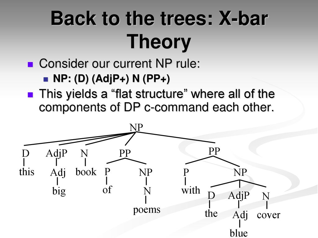 Syntax Tree X Bar
