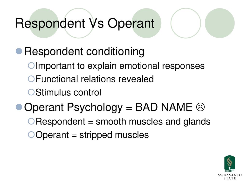 Respondent Conditioning Ppt Download per-se-meaning-in-tamil-example-sentences-english-to-tamil-youtube