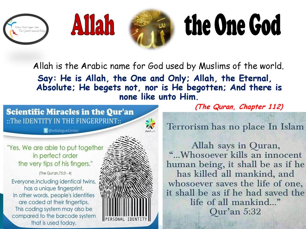 Understanding Islam Challenging Islamophobia Ppt Download