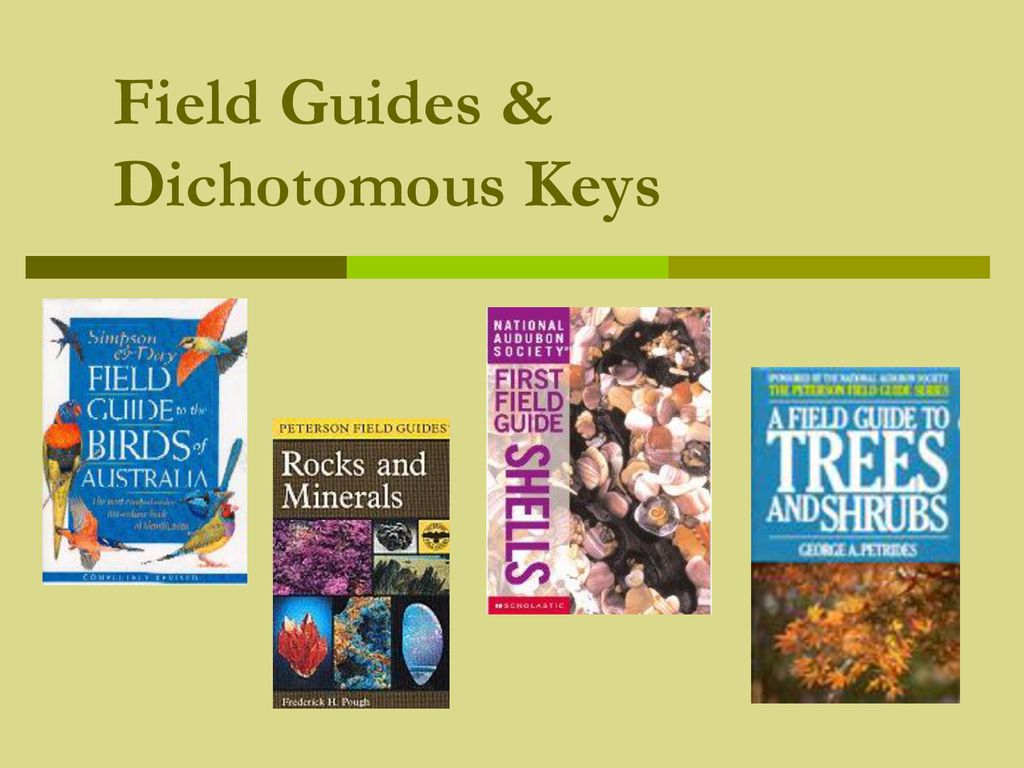 Field Guides Dichotomous Keys Ppt Download