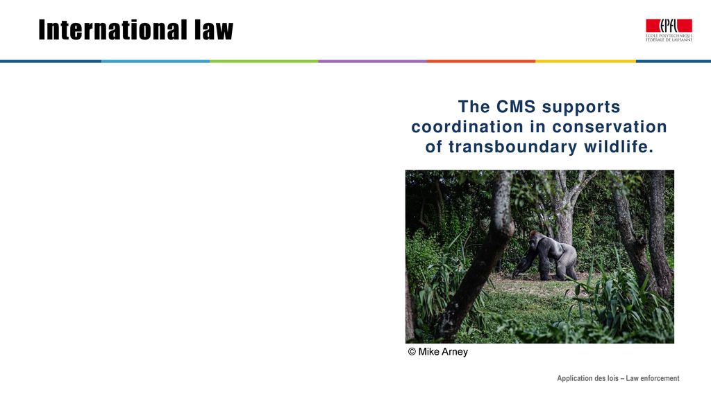1.13 International law: key MEAs - ppt download