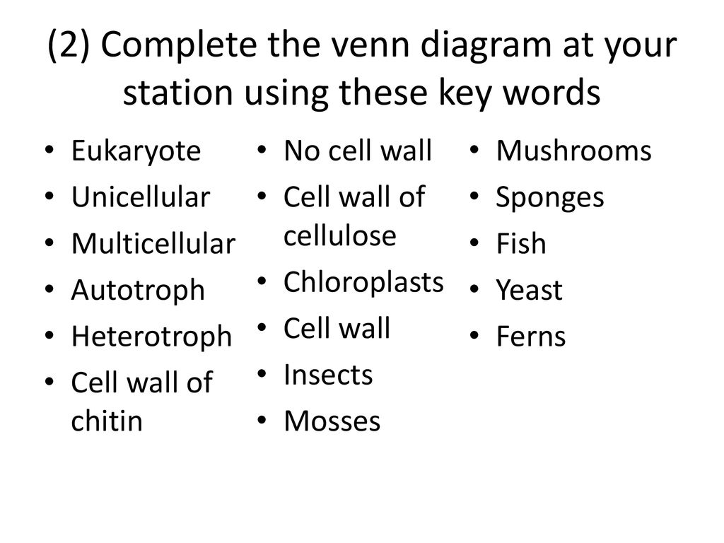 Six Kingdoms Test Review - ppt download