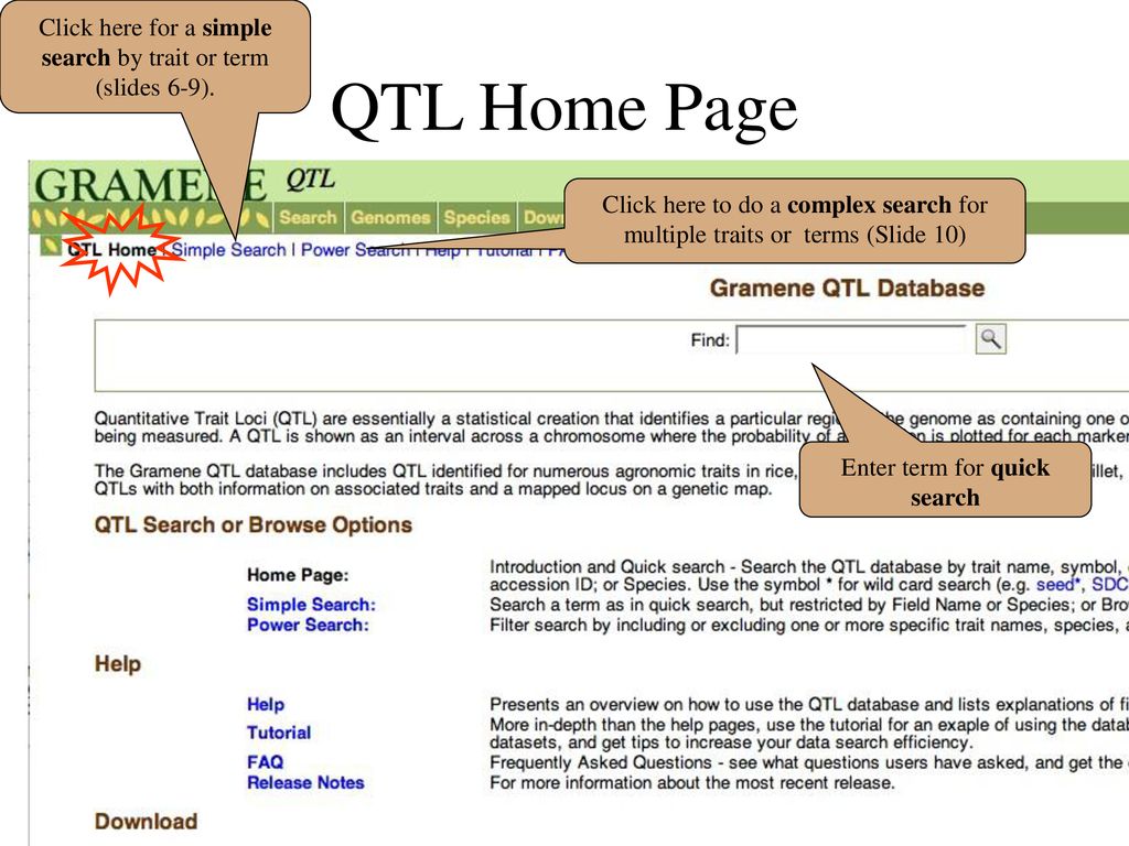 Welcome to the quantitative trait loci qtl tutorial ppt download