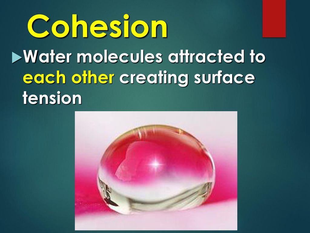 Properties of water ppt download