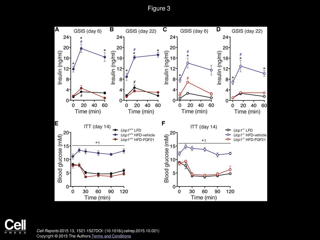 Figure 3 FGF21-Treated Ucp1+/+ and Ucp1−/− Mice Have Comparable Insulin Levels and Insulin Sensitivity.