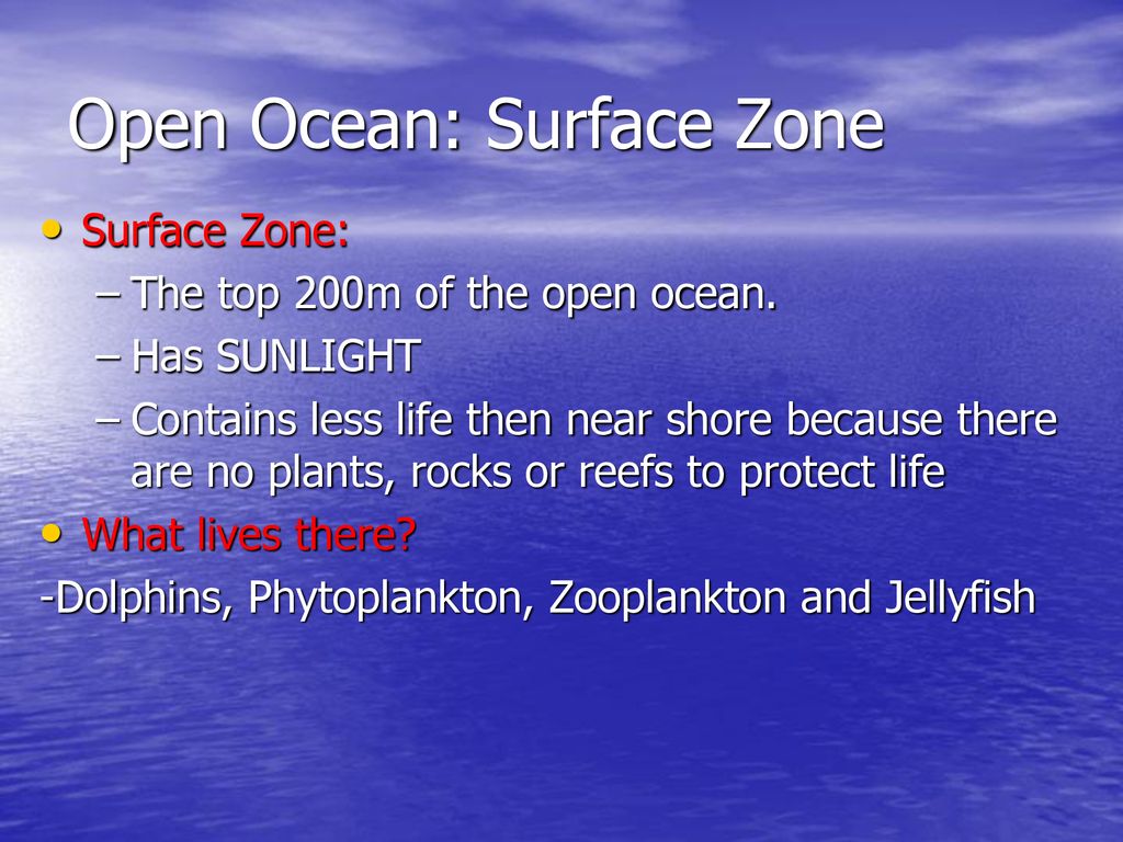 Ocean Environment. - ppt download