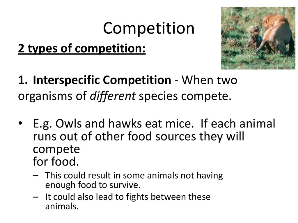 Competition!. - ppt download