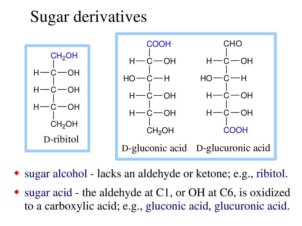 Sugar derivatives sugar alcohol - lacks an aldehyde or ketone; e.g., ribitol.