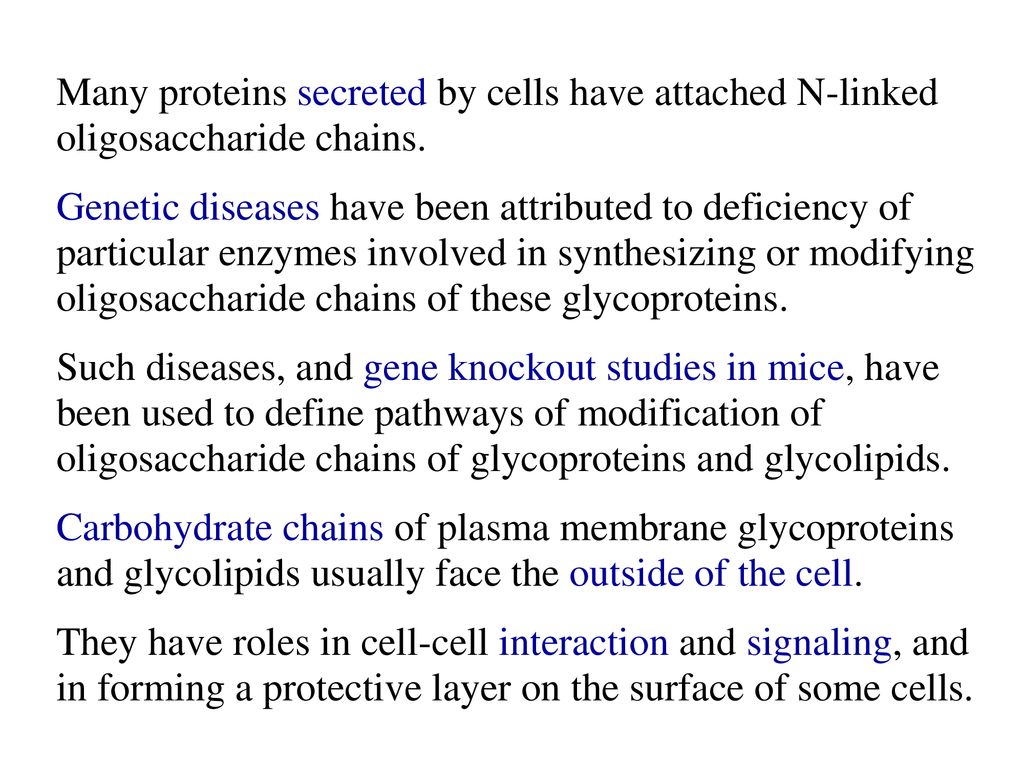 Many proteins secreted by cells have attached N-linked oligosaccharide chains.