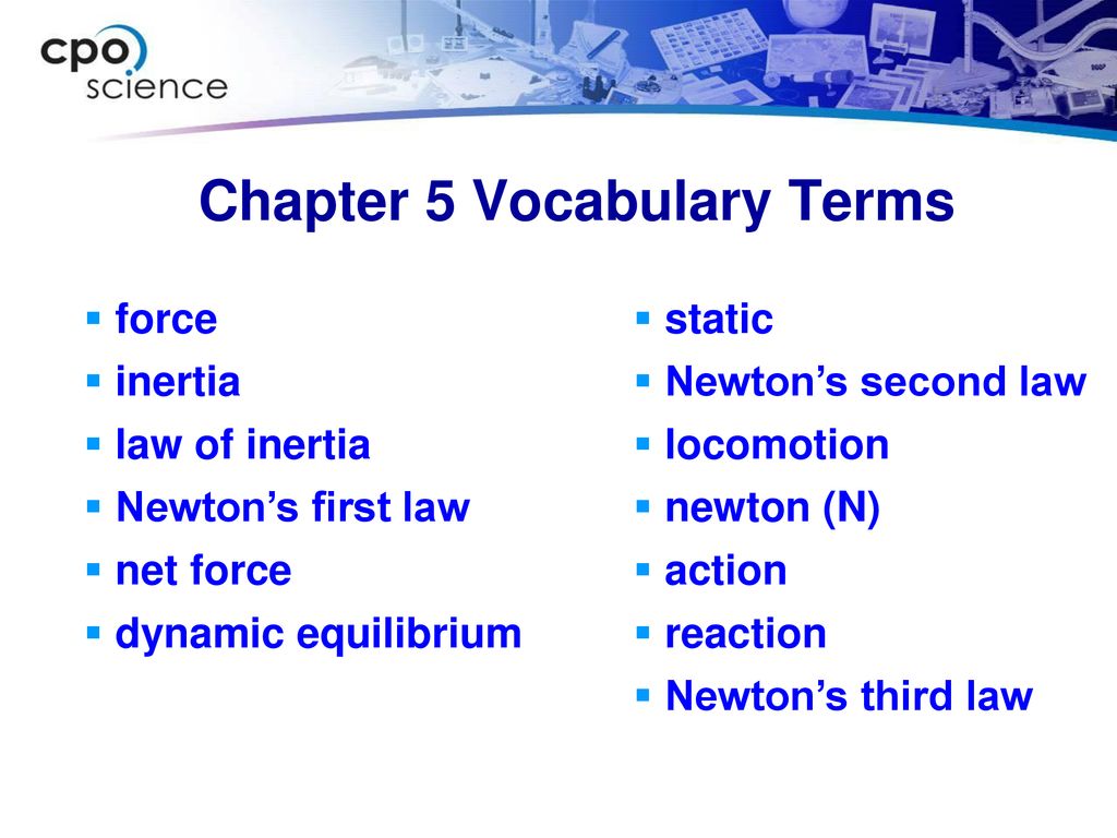 Chapter 5 Vocabulary Terms