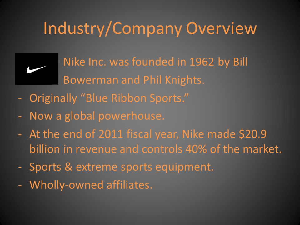 nike company summary
