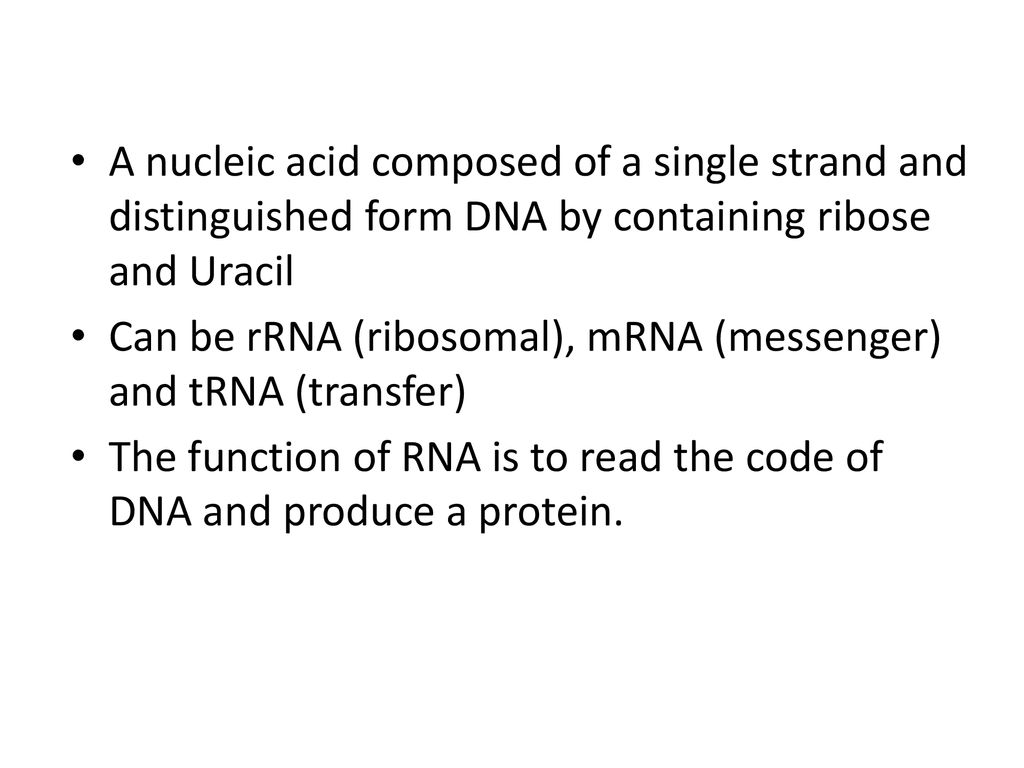 A nucleic acid composed of a single strand and distinguished form DNA by containing ribose and Uracil