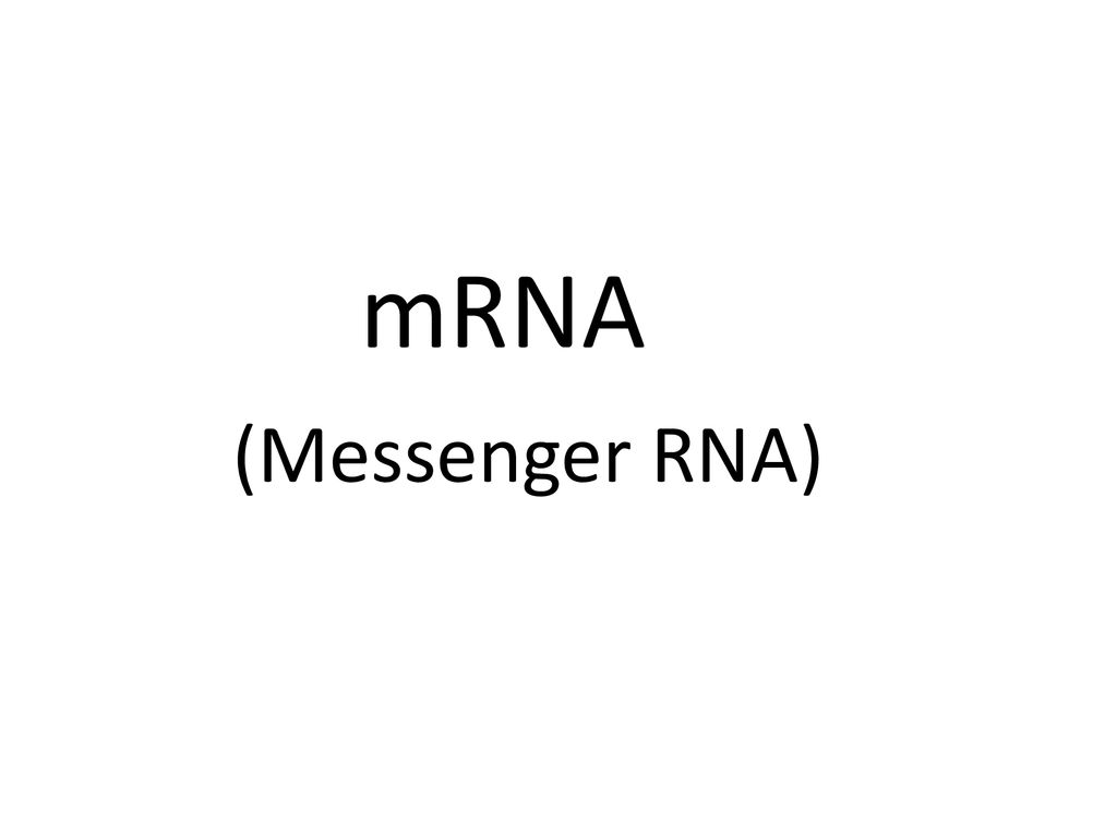 mRNA (Messenger RNA)