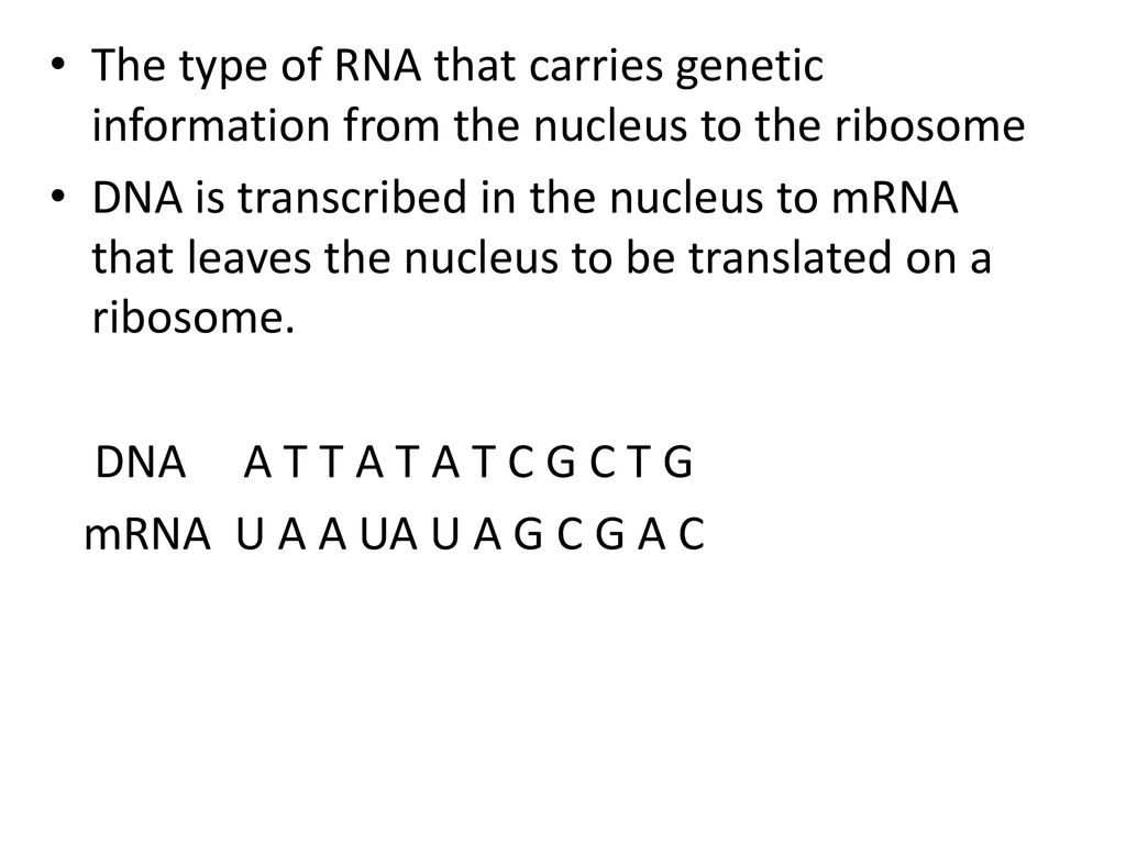 The type of RNA that carries genetic information from the nucleus to the ribosome