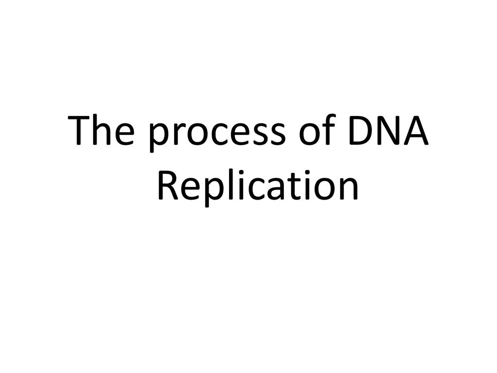 The process of DNA Replication